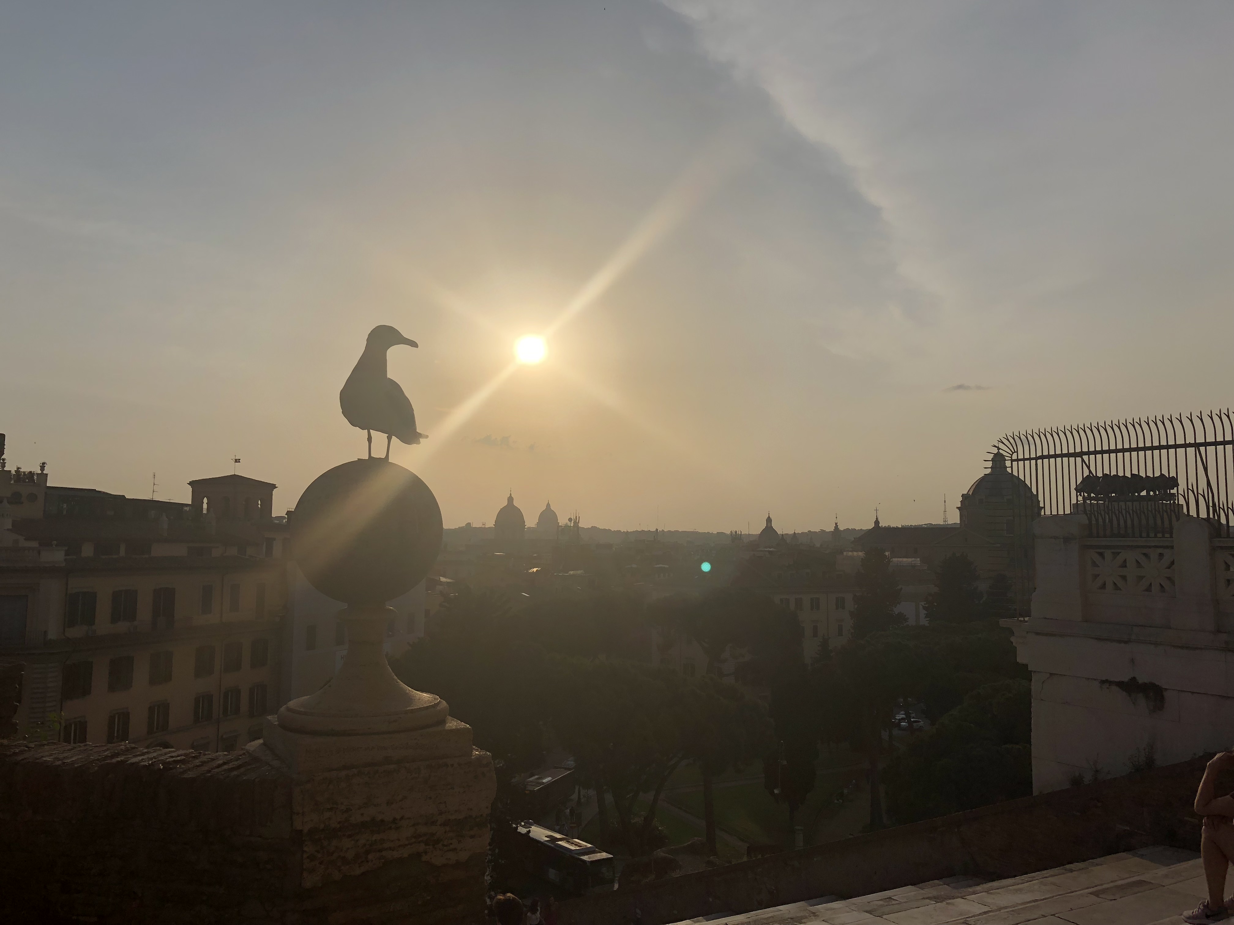 rome birds eye view